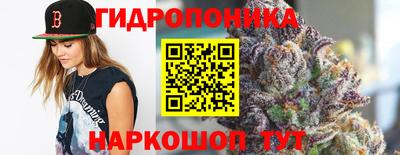 ПСИЛОЦИБИНОВЫЕ ГРИБЫ Ипатово