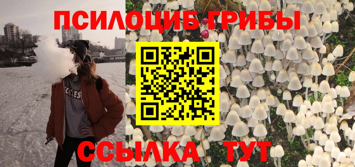 Псилоцибиновые грибы прущие грибы Ленинск-Кузнецкий